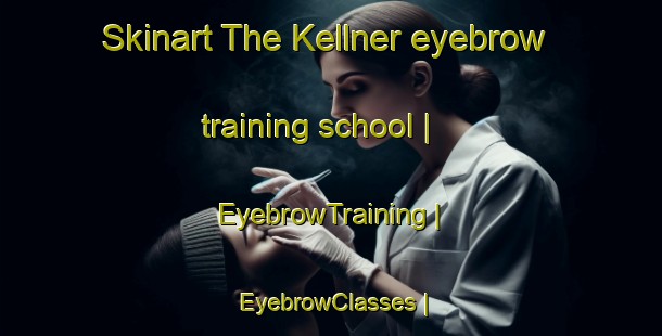 Skinart The Kellner eyebrow training school | EyebrowTraining | EyebrowClasses | SkinartTraining-United States